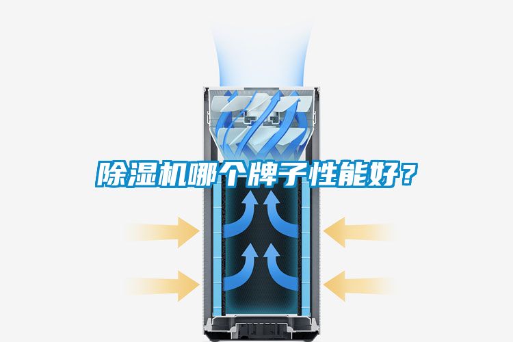 91看片在线下载機哪個牌子性能好？