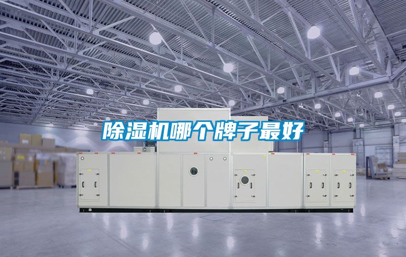 91看片在线下载機哪個牌子最好