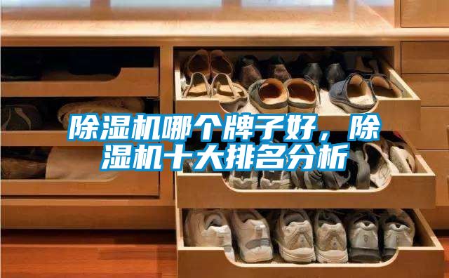 91看片在线下载機哪個牌子好，91看片在线下载機十大排名分析