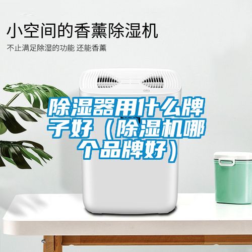 91看片在线下载器用什麽牌子好（91看片在线下载機哪個品牌好）