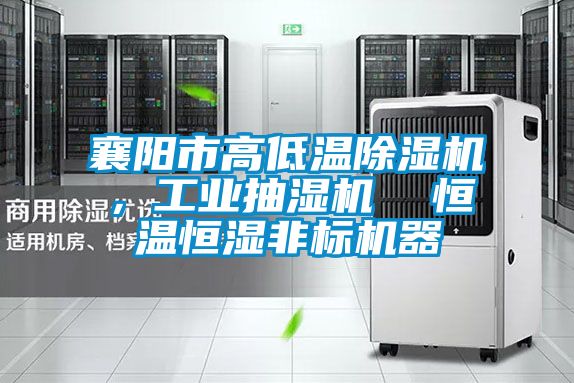 襄陽市高低溫91看片在线下载機，工業抽濕機  恒溫恒濕非標機器