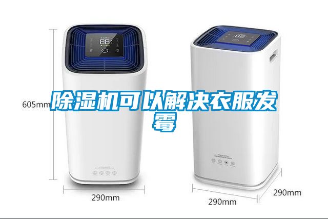 91看片在线下载機可以解決衣服發黴
