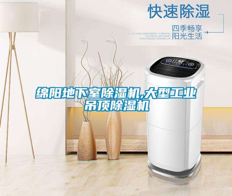 綿陽地下室91看片在线下载機,大型工業吊頂91看片在线下载機