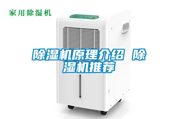 91看片在线下载機原理介紹 91看片在线下载機推薦