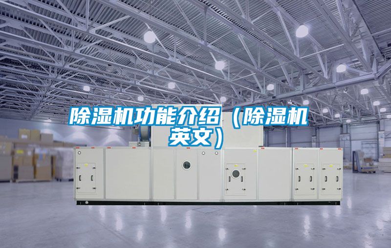 91看片在线下载機功能介紹（91看片在线下载機 英文）