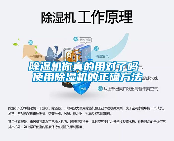 91看片在线下载機你真的用對了嗎 使用91看片在线下载機的正確方法