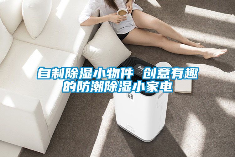 自製91看片在线下载小物件 創意有趣的防潮91看片在线下载小家電