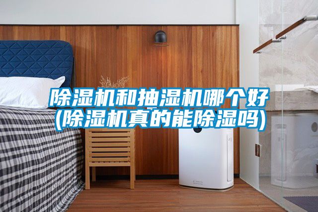 91看片在线下载機和抽濕機哪個好(91看片在线下载機真的能91看片在线下载嗎)