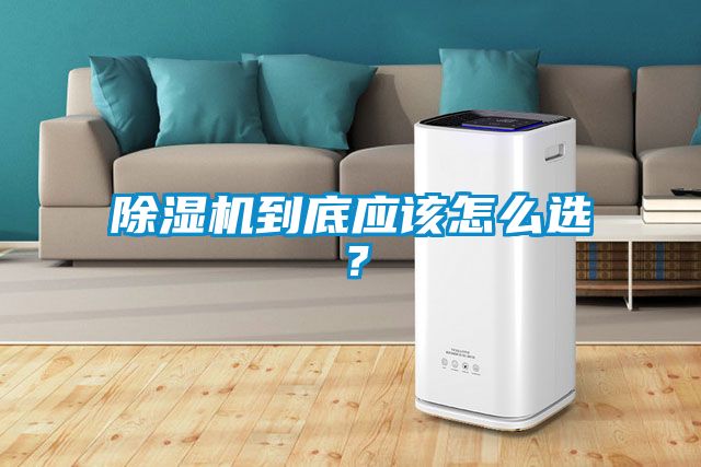91看片在线下载機到底應該怎麽選？