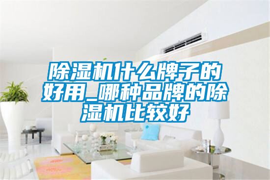 91看片在线下载機什麽牌子的好用_哪種品牌的91看片在线下载機比較好