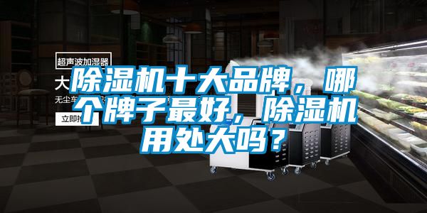 91看片在线下载機十大品牌，哪個牌子最好，91看片在线下载機用處大嗎？