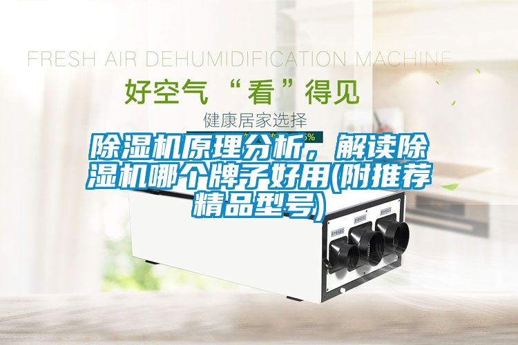 91看片在线下载機原理分析，解讀91看片在线下载機哪個牌子好用(附推薦精品型號)