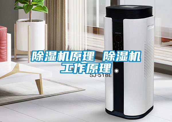 91看片在线下载機原理 91看片在线下载機工作原理