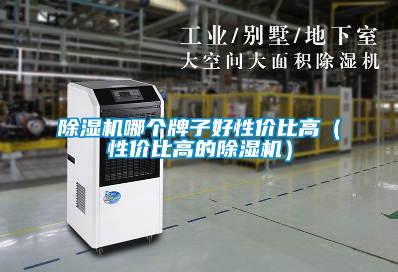 91看片在线下载機哪個牌子好性價比高（性價比高的91看片在线下载機）