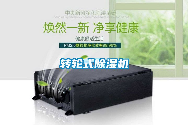 轉輪式91看片在线下载機