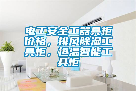 電工安全工器具櫃價格，排風91看片在线下载工具櫃，恒溫智能工具櫃