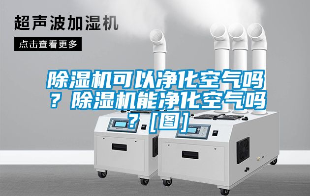 91看片在线下载機可以淨化空氣嗎？91看片在线下载機能淨化空氣嗎？[圖]