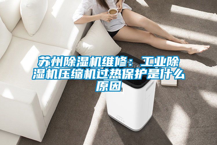 蘇州91看片在线下载機維修：工業91看片在线下载機壓縮機過熱保護是什麽原因