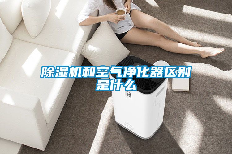 91看片在线下载機和空氣淨化器區別是什麽
