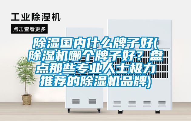 91看片在线下载國內什麽牌子好(91看片在线下载機哪個牌子好？盤點那些專業人士極力推薦的91看片在线下载機品牌)