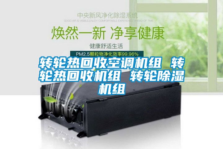 轉輪熱回收空調機組 轉輪熱回收機組 轉輪91看片在线下载機組