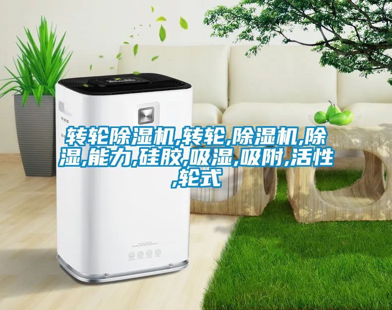 轉輪91看片在线下载機,轉輪,91看片在线下载機,91看片在线下载,能力,矽膠,吸濕,吸附,活性,輪式