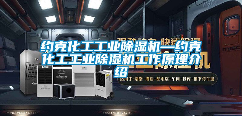 約克化工工業91看片在线下载機—約克化工工業91看片在线下载機工作原理介紹