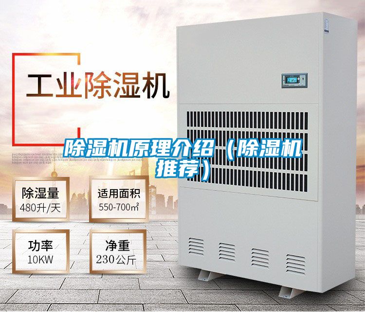 91看片在线下载機原理介紹（91看片在线下载機推薦）