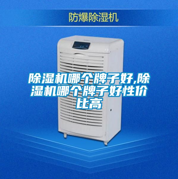 91看片在线下载機哪個牌子好,91看片在线下载機哪個牌子好性價比高