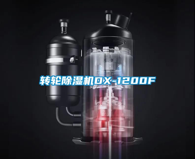 轉輪91看片在线下载機DX-1200F