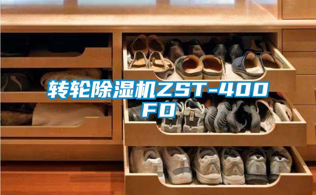 轉輪91看片在线下载機ZST-400FD