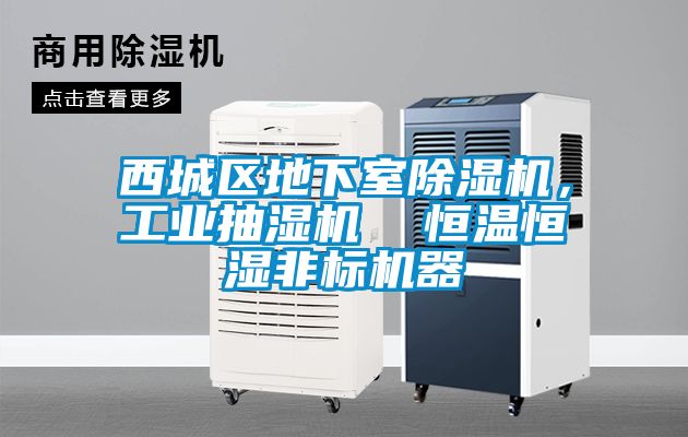 西城區地下室91看片在线下载機，工業抽濕機  恒溫恒濕非標機器