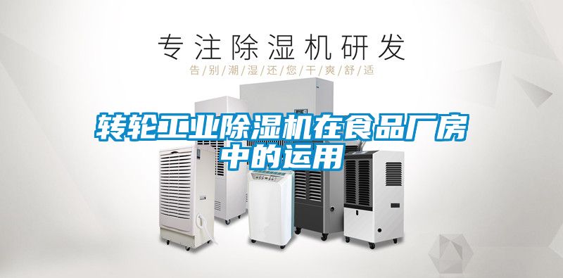 轉輪工業91看片在线下载機在食品廠房中的運用
