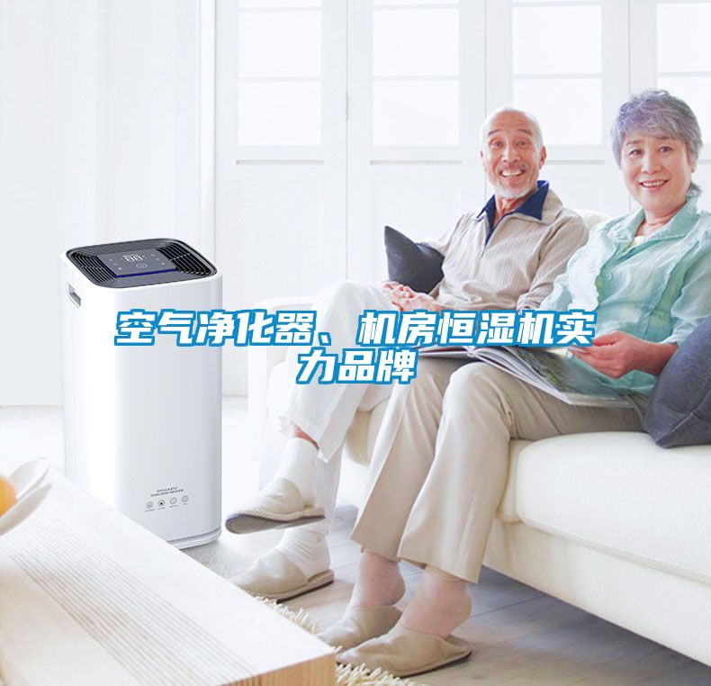 空氣淨化器、機房恒濕機實力品牌