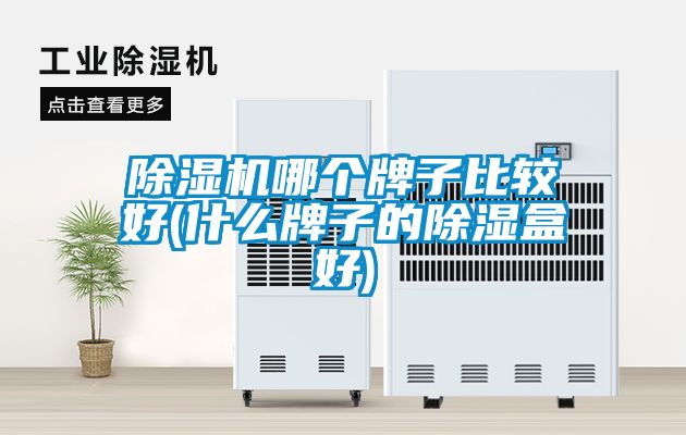91看片在线下载機哪個牌子比較好(什麽牌子的91看片在线下载盒好)