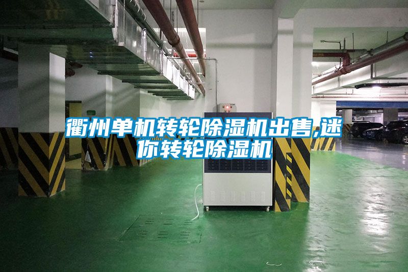 衢州單機轉輪91看片在线下载機出售,迷你轉輪91看片在线下载機