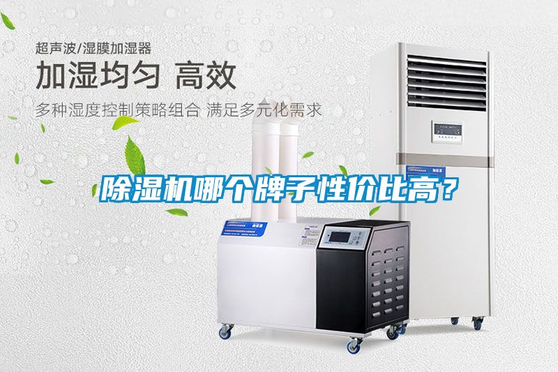 91看片在线下载機哪個牌子性價比高？