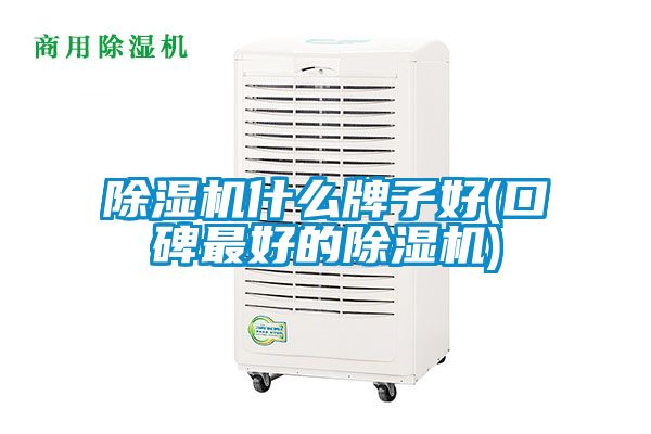 91看片在线下载機什麽牌子好(口碑最好的91看片在线下载機)