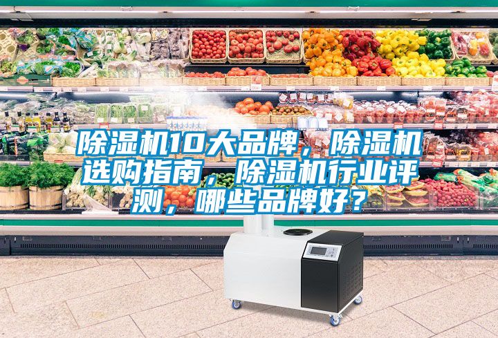 91看片在线下载機10大品牌，91看片在线下载機選購指南，91看片在线下载機行業評測，哪些品牌好？