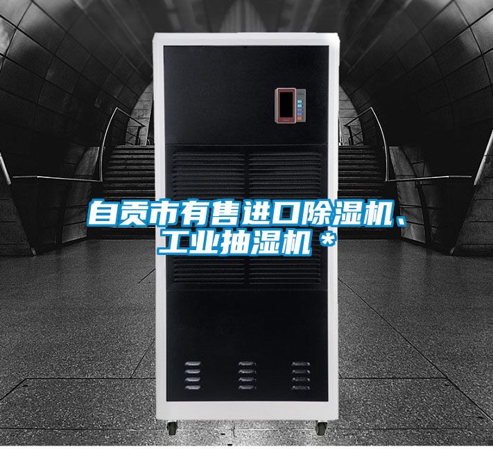 自貢市有售進口91看片在线下载機、工業抽濕機＊