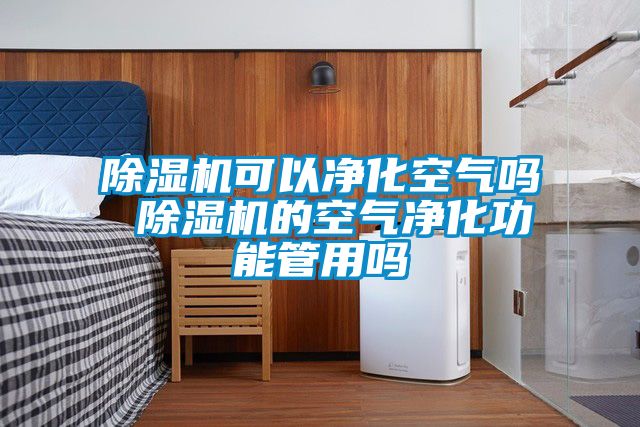 91看片在线下载機可以淨化空氣嗎 91看片在线下载機的空氣淨化功能管用嗎