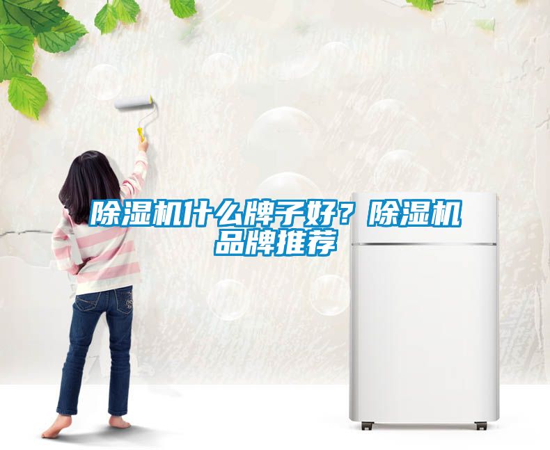 91看片在线下载機什麽牌子好？91看片在线下载機品牌推薦