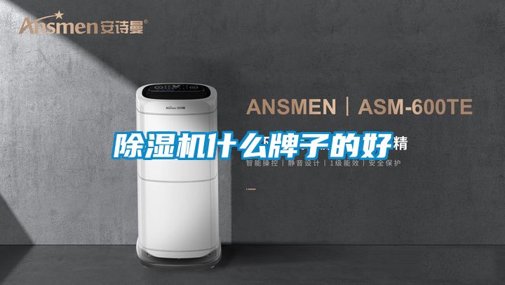 91看片在线下载機什麽牌子的好
