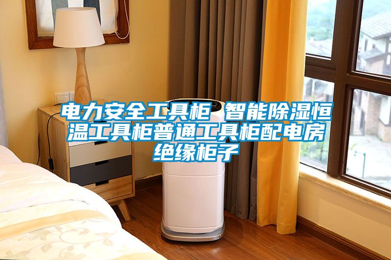 電力安全工具櫃 智能91看片在线下载恒溫工具櫃普通工具櫃配電房絕緣櫃子