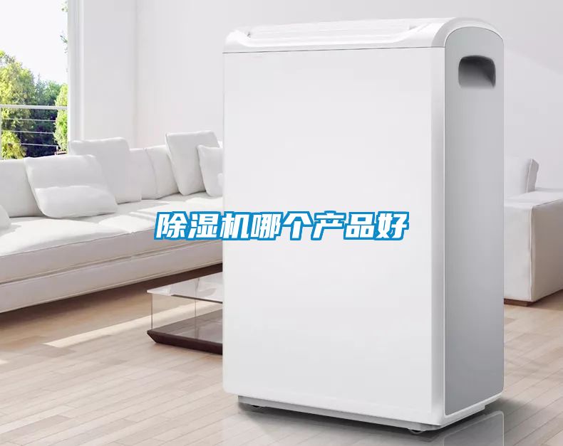 91看片在线下载機哪個產品好