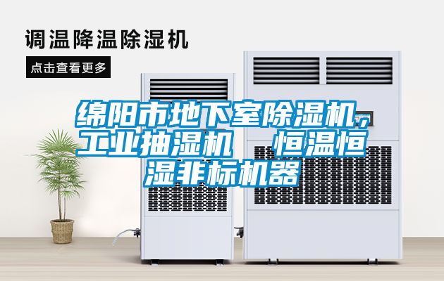 綿陽市地下室91看片在线下载機，工業抽濕機  恒溫恒濕非標機器
