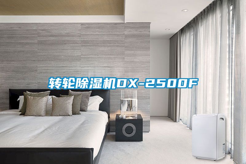 轉輪91看片在线下载機DX-2500F