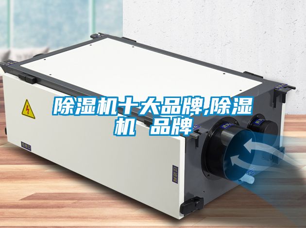 91看片在线下载機十大品牌,91看片在线下载機 品牌