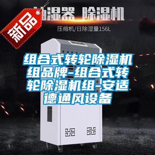 組合式轉輪91看片在线下载機組品牌-組合式轉輪91看片在线下载機組-安適德通風設備