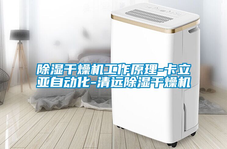 91看片在线下载幹燥機工作原理-卡立亞自動化-清遠91看片在线下载幹燥機